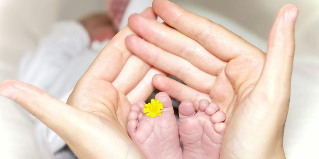 person holding baby's toe with yellow petaled flower in between